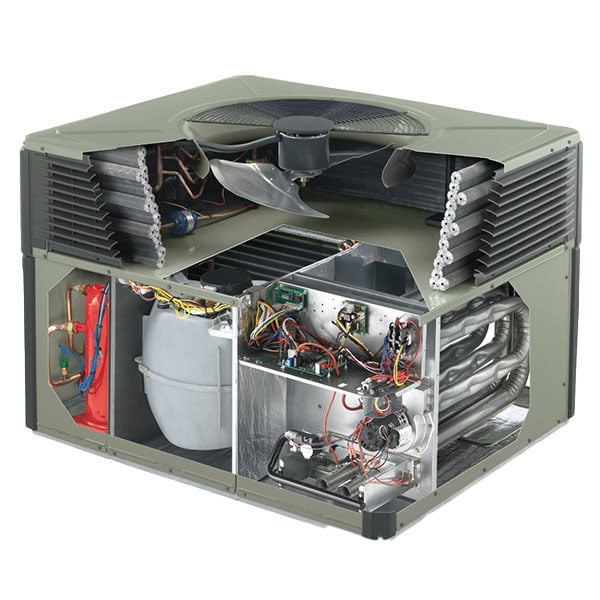 dual-fuel system
